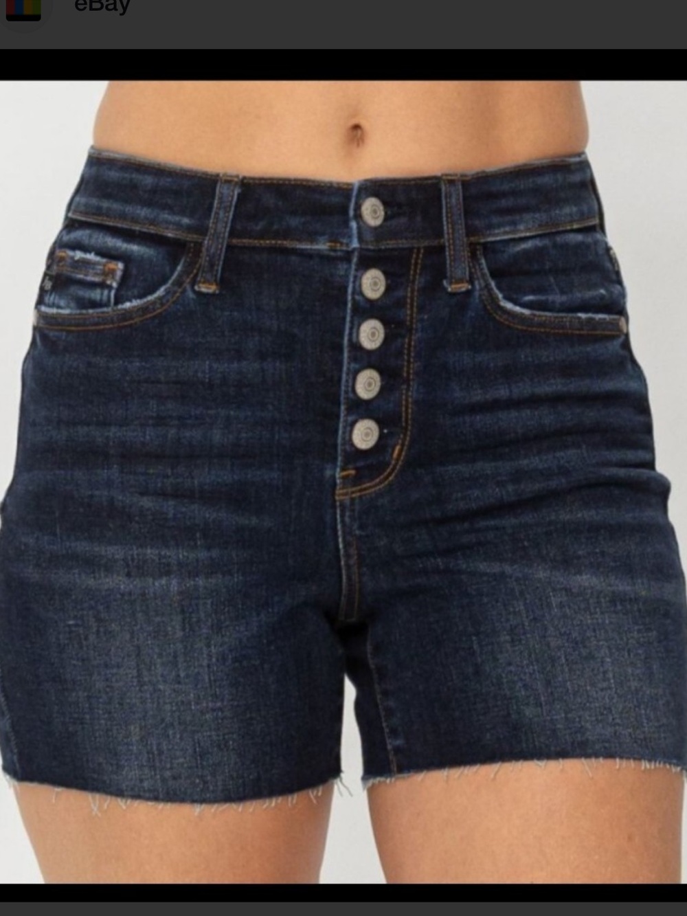 Judy blue denim jean shorts plus size 1x